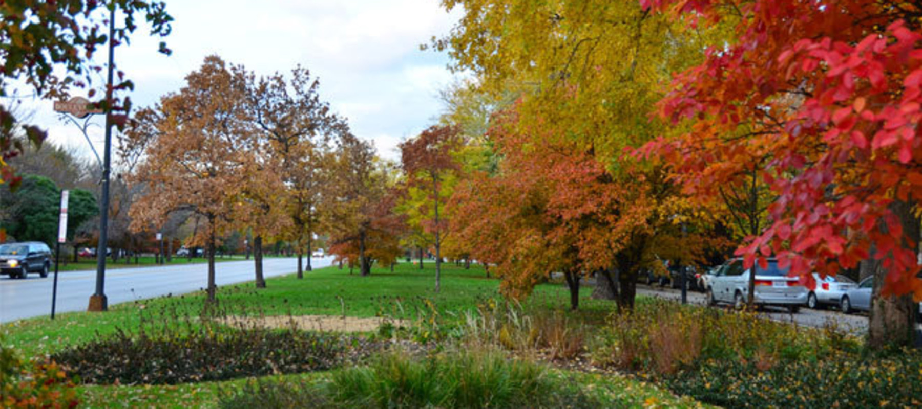 Kedzie Boulevard