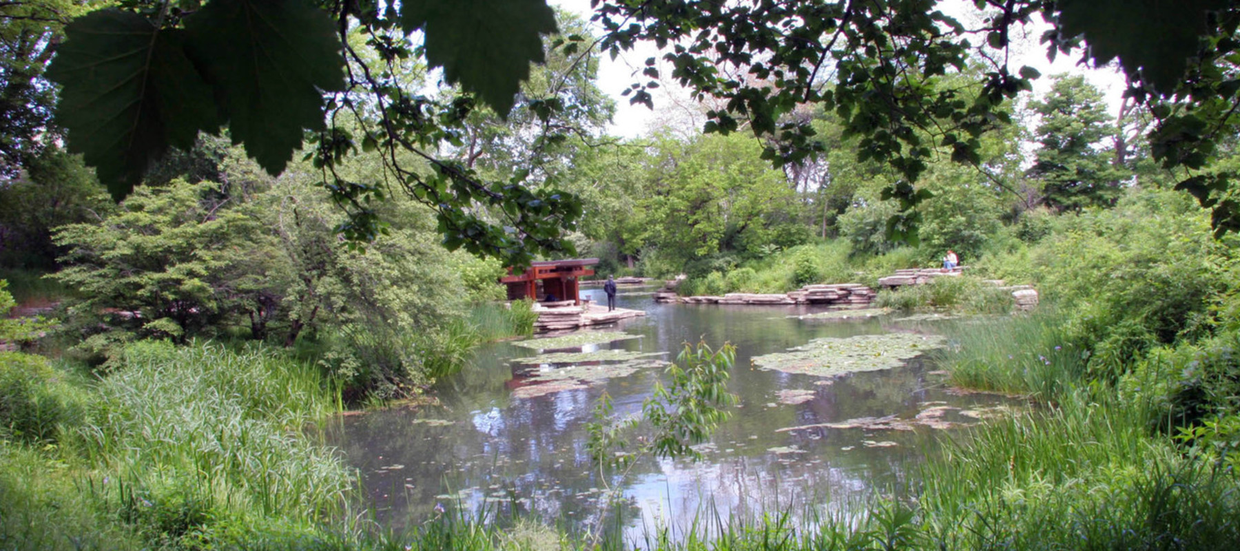 Alfred Caldwell Lily Pool