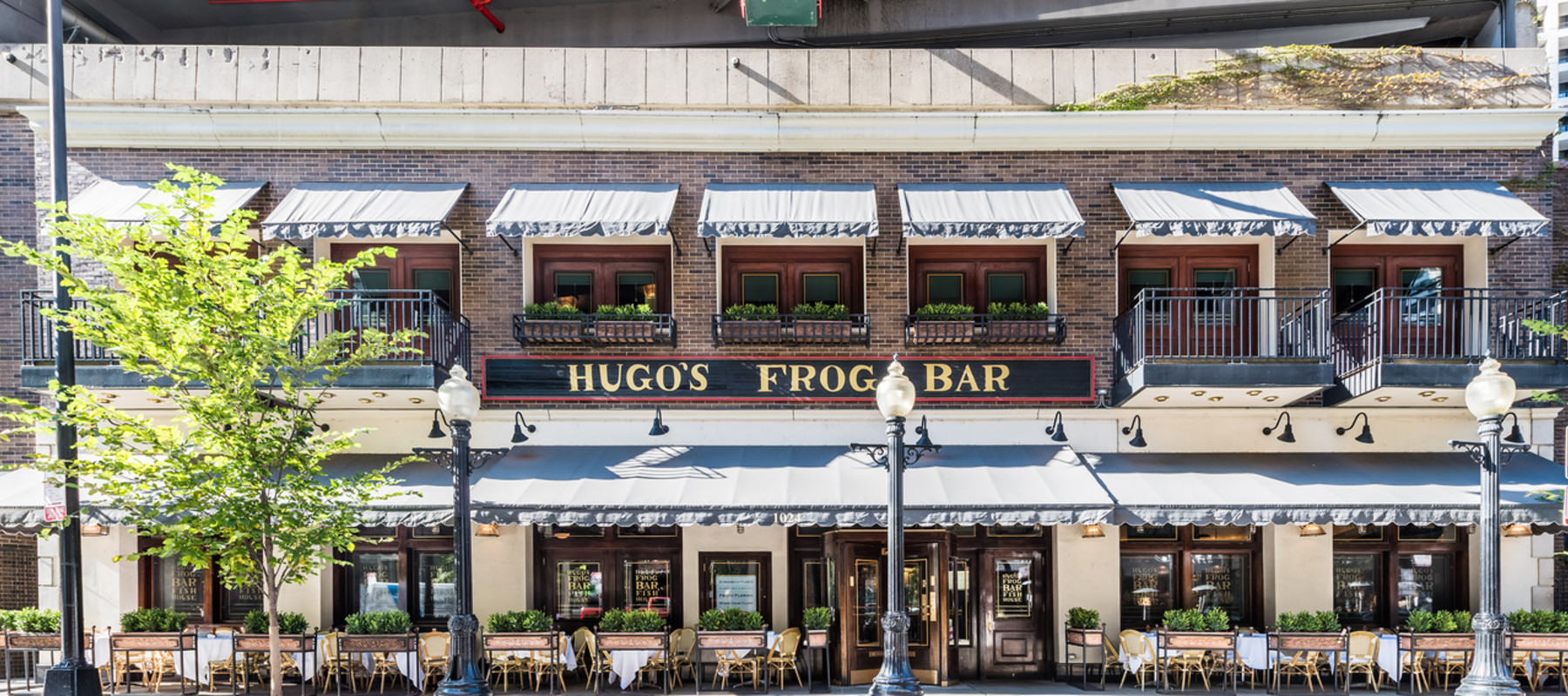 Hugo’s Frog Bar