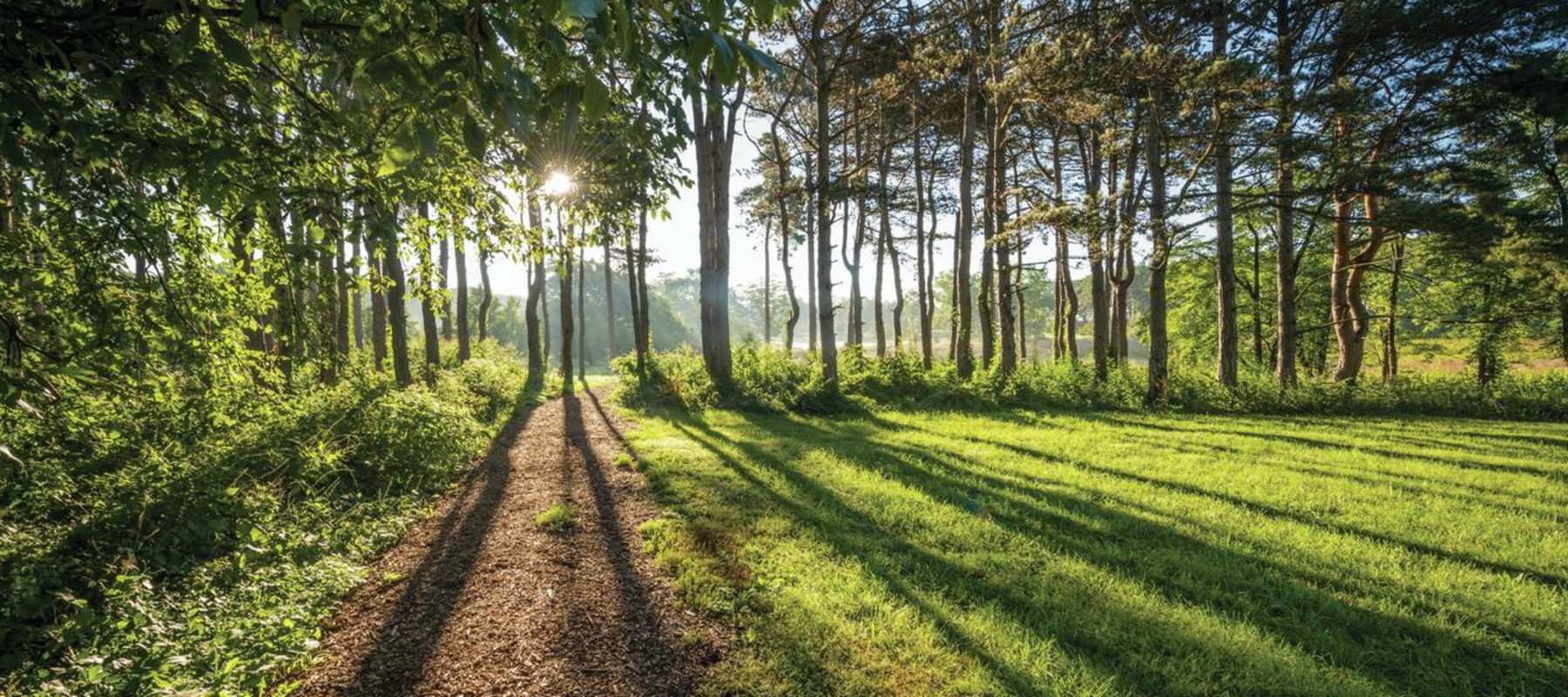 Discover DuPage County