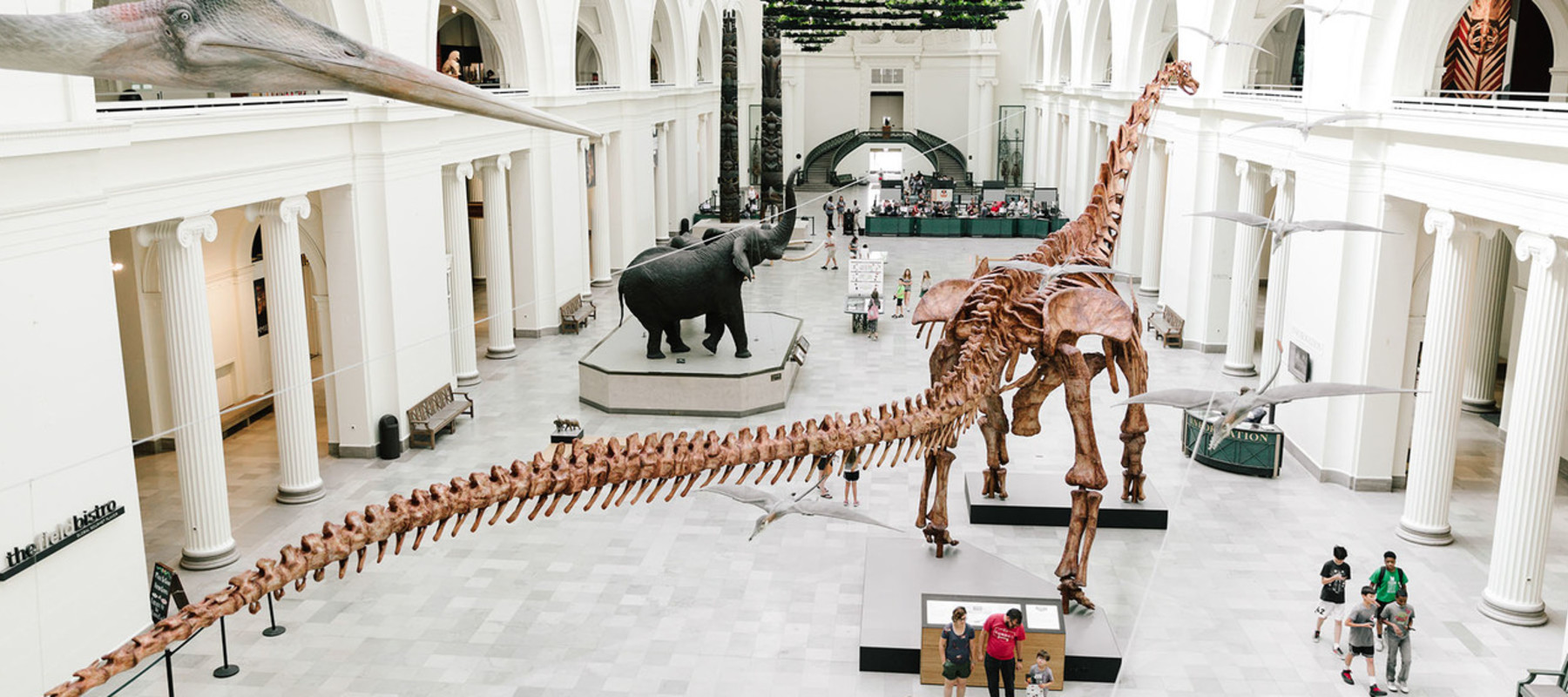 The Field Museum