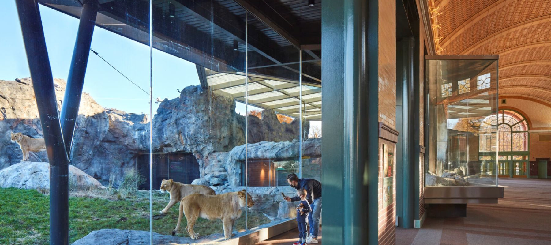Lincoln Park Zoo