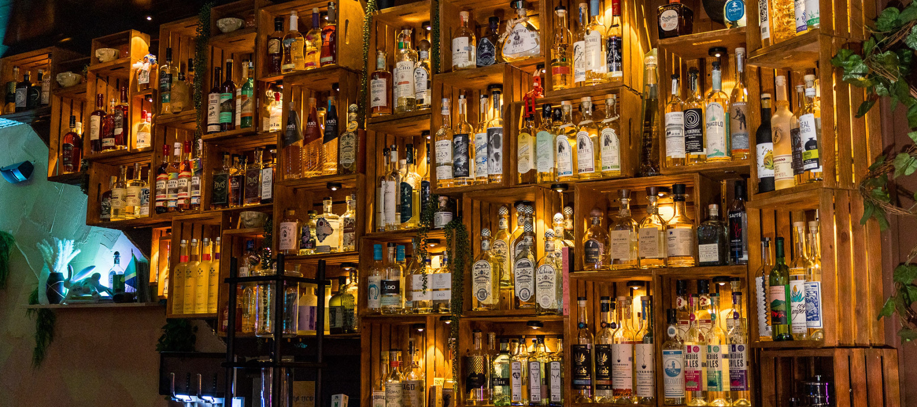 La Licor Panamericana