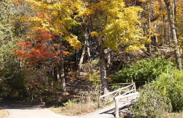 Edwards Gardens Tourism Toronto