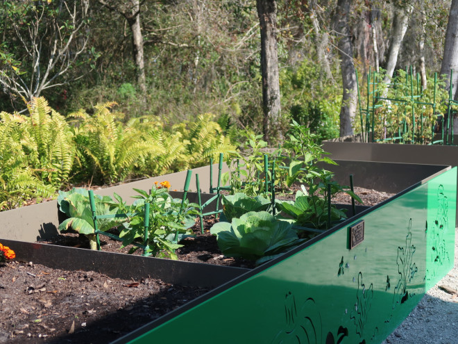 Children's Roots and Shoots Garden