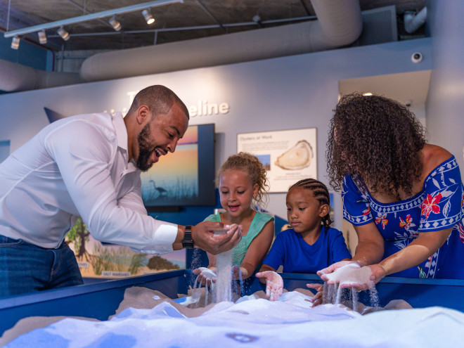 Tampa Bay Watch Discovery Center