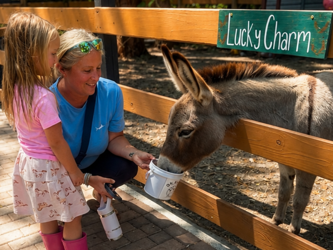A mom and little girl look at a donkey behind a fence at DK Farms and Gardens in Largo FL