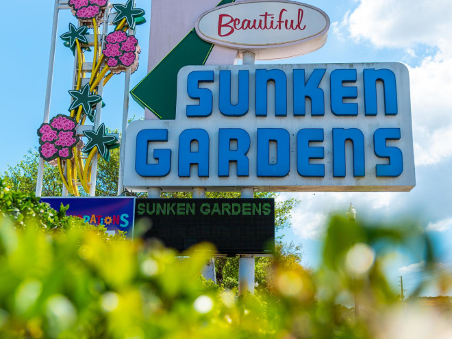 the vintage sign outside Sunken Gardens 100-year-old attraction in St. Pete