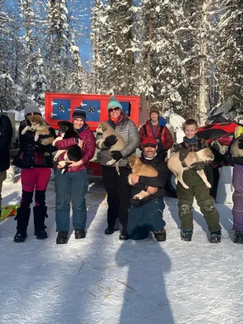 Rock On Racing Sled Dog Tours