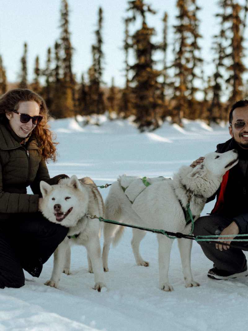 Susitna Sled Dog Adventures