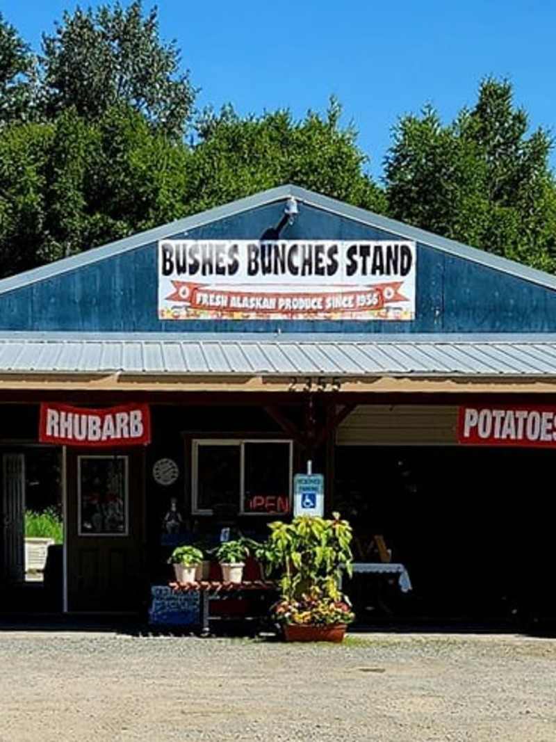 Bushes Bunches Stand
