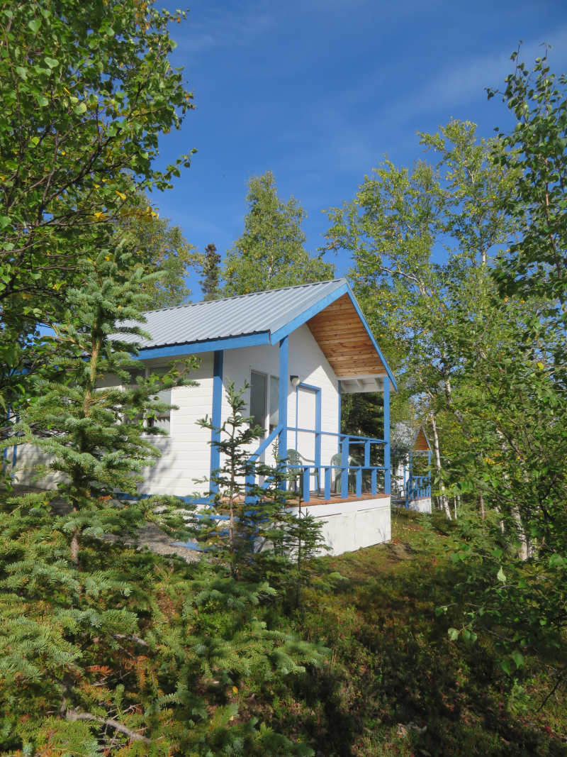 Denali Ridgetop Cabins