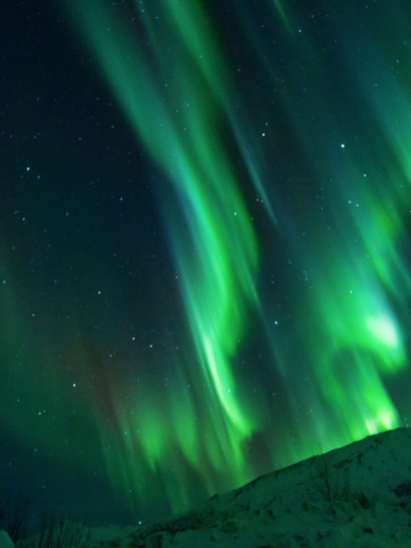 Alaska Skylar Travel
