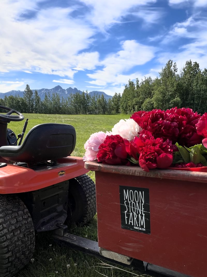 Moonstone Farm