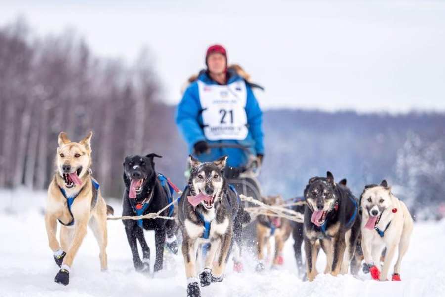 Martin Buser’s Happy Trails Kennel — image 1 of 3