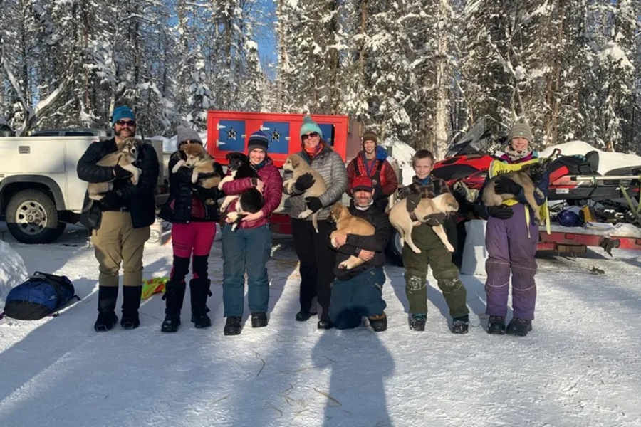 Rock On Racing Sled Dog Tours — image 1 of 4