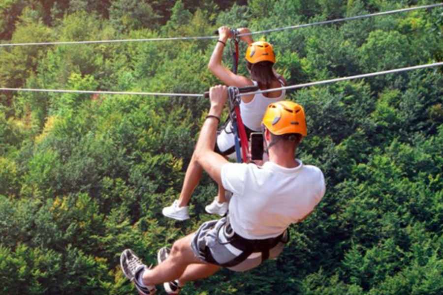 Alaska Zipline Adventure Park — image 1 of 4