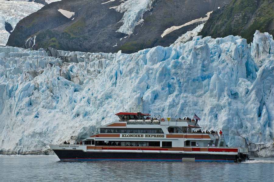 Phillips Cruises and Tours, LLC — image 1 of 8