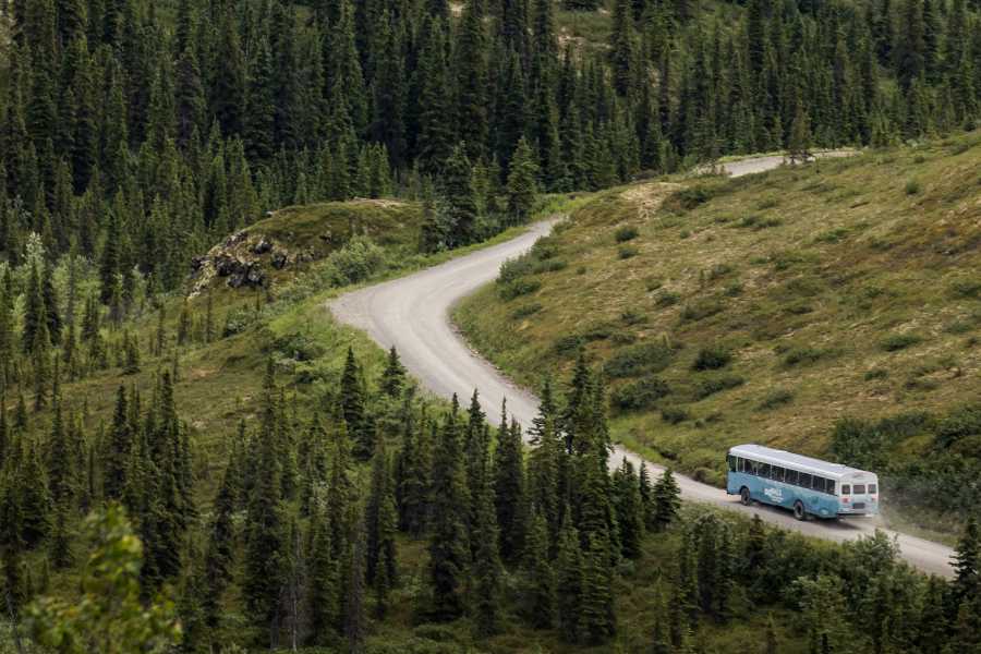 Denali Backcountry Adventure — image 1 of 5