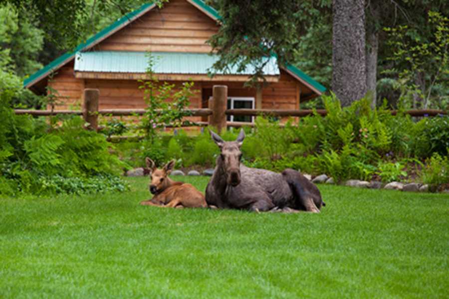 Gate Creek Lodge — image 1 of 7