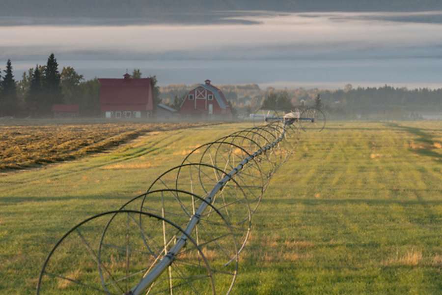 Alaska Farm Tours — image 1 of 8