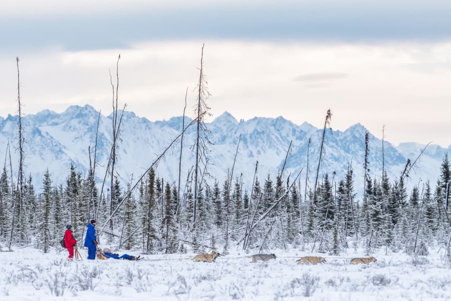 Alaska Mushing School — image 1 of 7