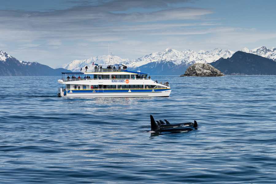 Major Marine Tours — image 1 of 2
