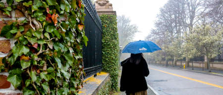 thing to do rainy day