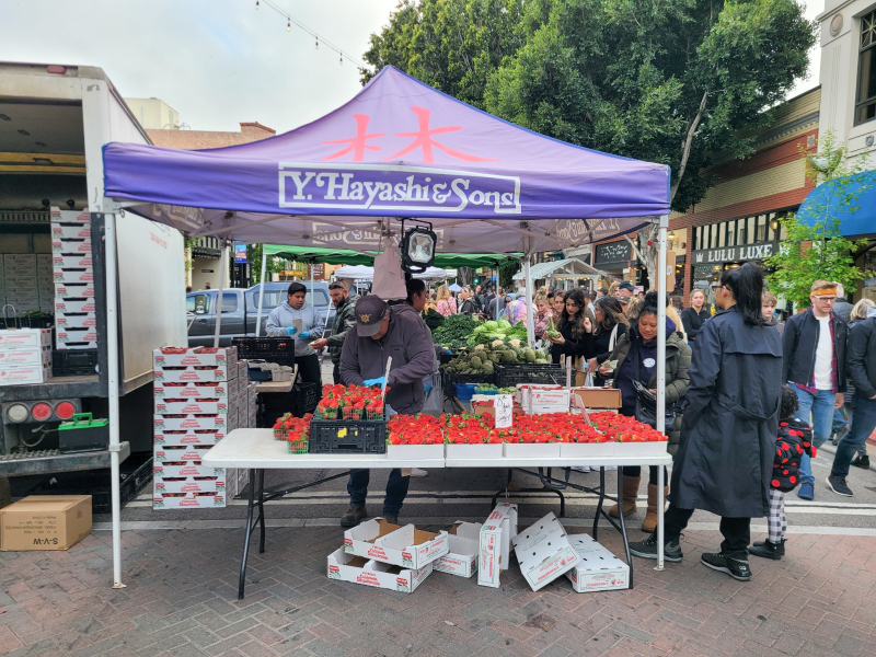 Hayashi Farms at SLO Farmers Market