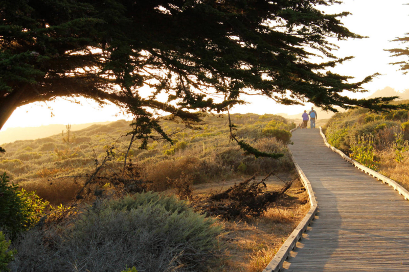 Moonstone Beach Boardwalk