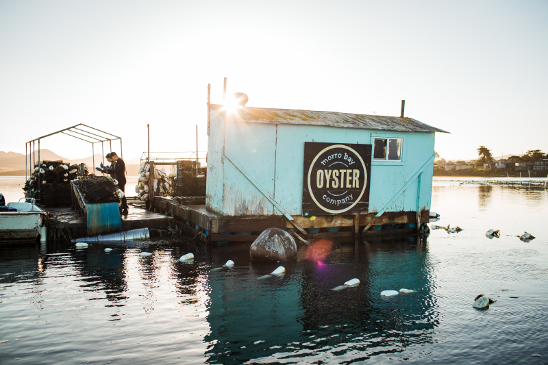 Morro Bay Oyster Co