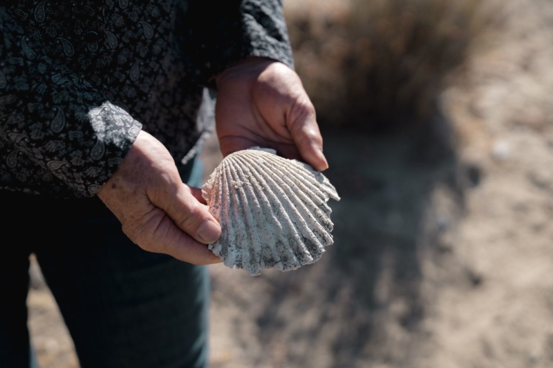 Camatta Ranch, Sustainably SLO CAL, Lazy Arrows Adventures. Woman holding out shell.