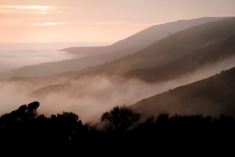Sunrise over misty coastal hills in San Luis Obispo County with fog rolling through valleys and silhouettes of trees along the ridgeline.