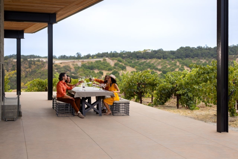 Group of people at table in vineyard wine tasting