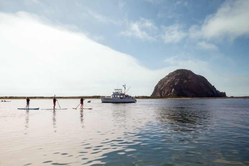 People paddle boarding in front of a fishing boat on the bay near Morro Rock
