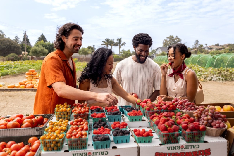 Four people at a farm stand looking at punnets and trying berries