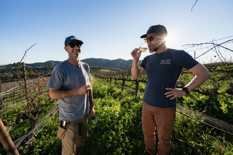 Two people tasting wine in green vineyard with hills and blue sky in background