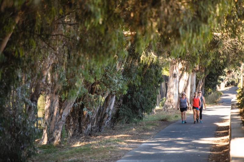 Bob Jones Trail