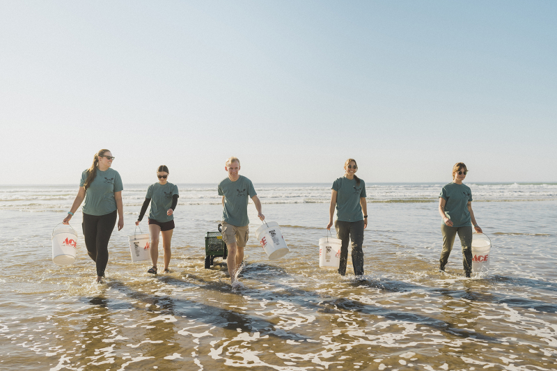 Five Cal Poly students walking through shallow water at Pismo Beach holding buckets for Pismo Clam Research