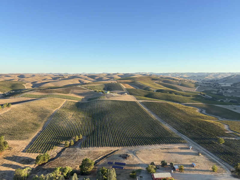 Landscape of rolling wine country green hills to the horizon and blue sky