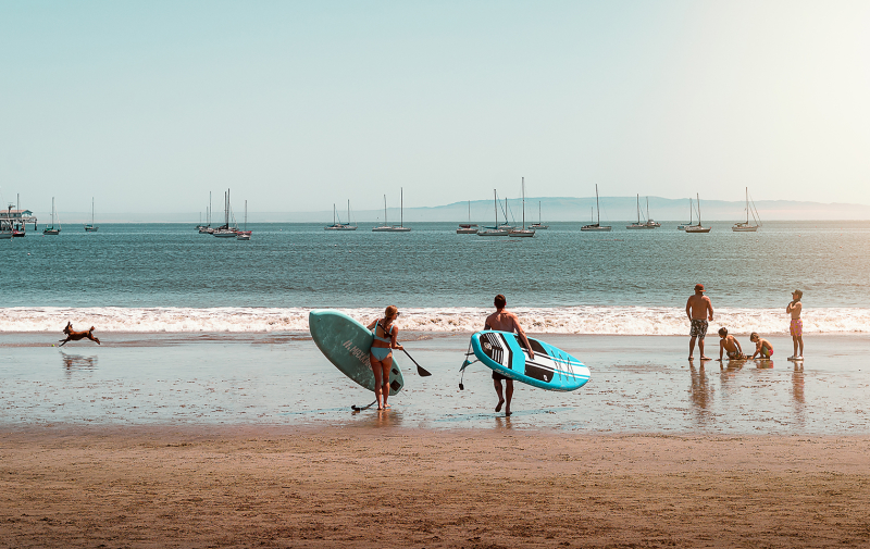 Two adults carrying paddleboards to the water with family and dog playing on the beach