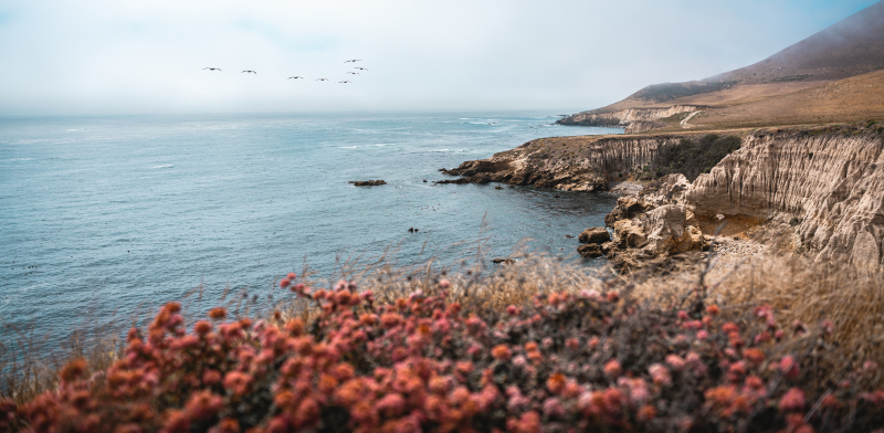 Montana de Oro