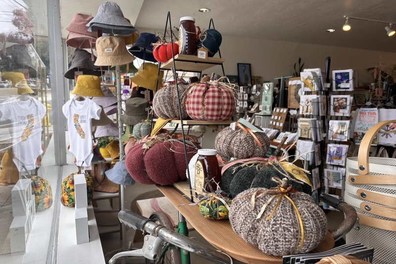 Morro Made storefront window display fall handmade in morro bay