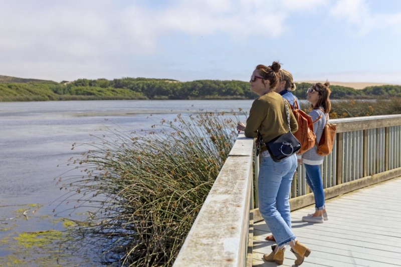 People overlooking Oso Flaco Lake