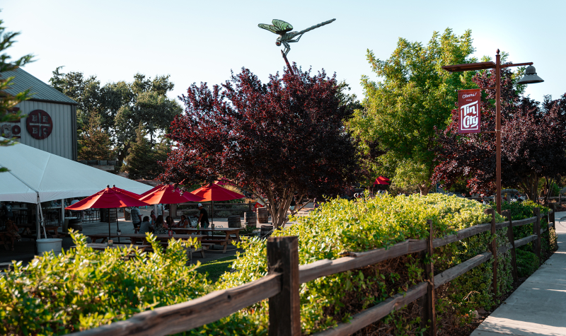 Exterior of Tin City with red umbrellas, dragonfly statue and light post banner.