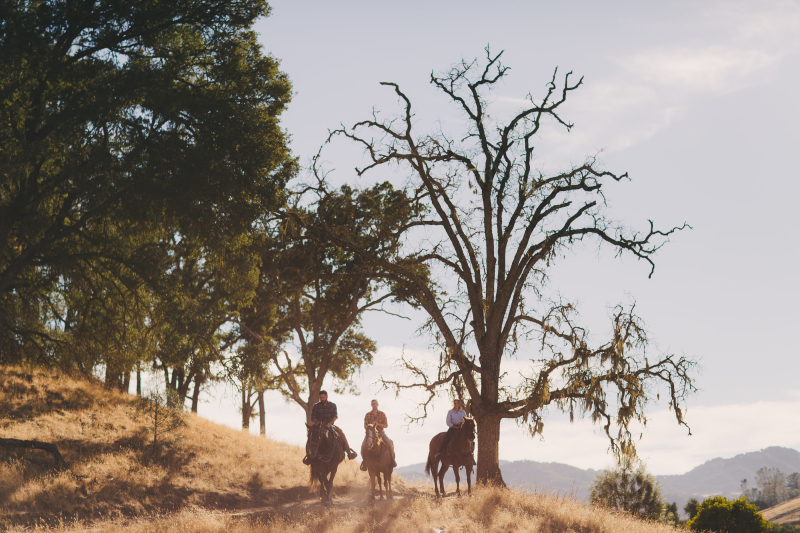 Horseback Riding in Santa Margarita