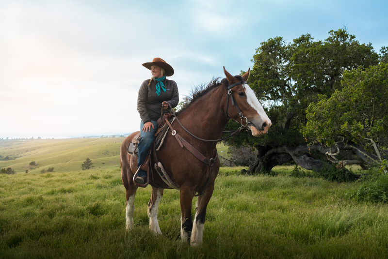 Women on horseback on green hills