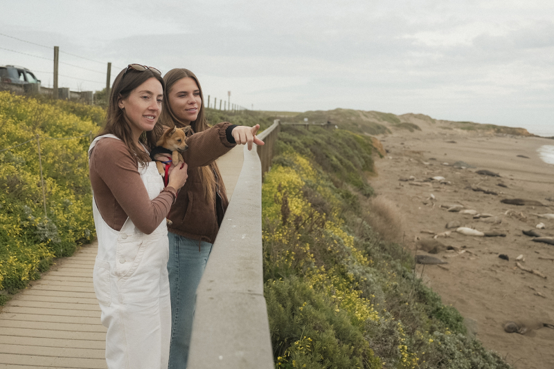 Two girls and a dog pointing out and overlooking elephant seals on the beach below