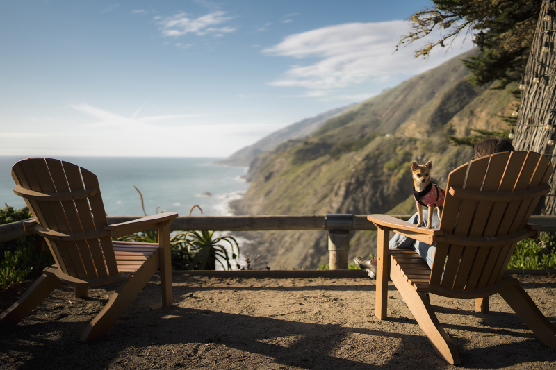 Women and dog on adirondack chair overlooking ocean and cliffside at Ragged Point