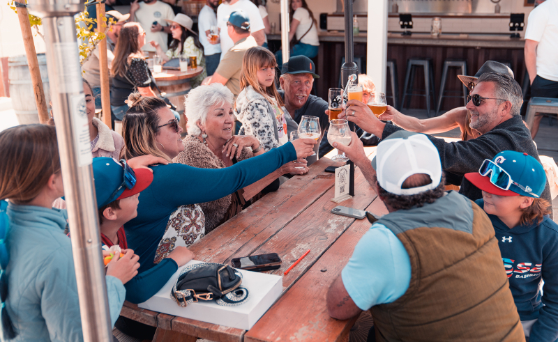Group of people of varying ages sitting and raising glasses together